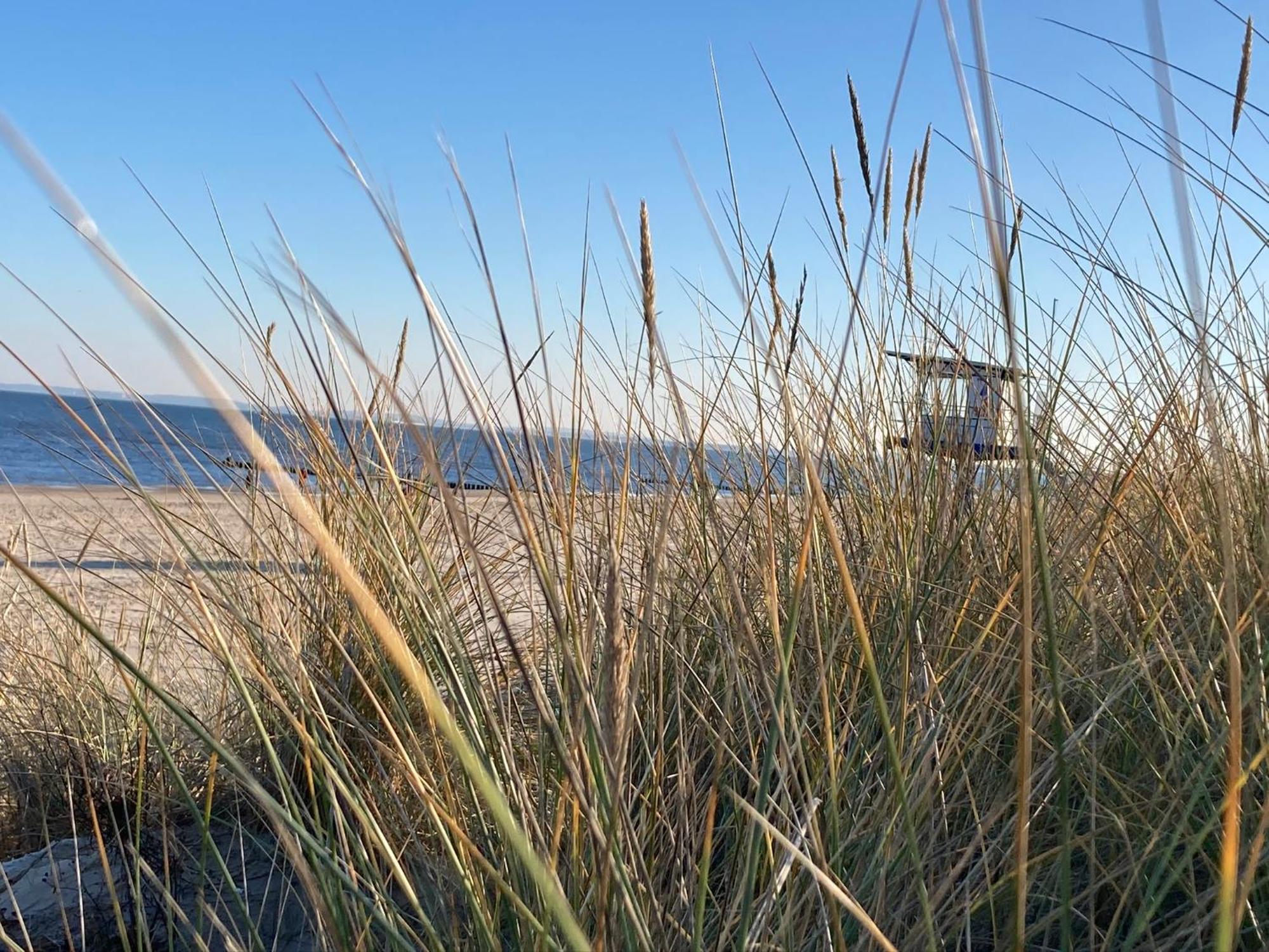 Ferienwohnungen Ostsee & Mehr Heringsdorf  Extérieur photo